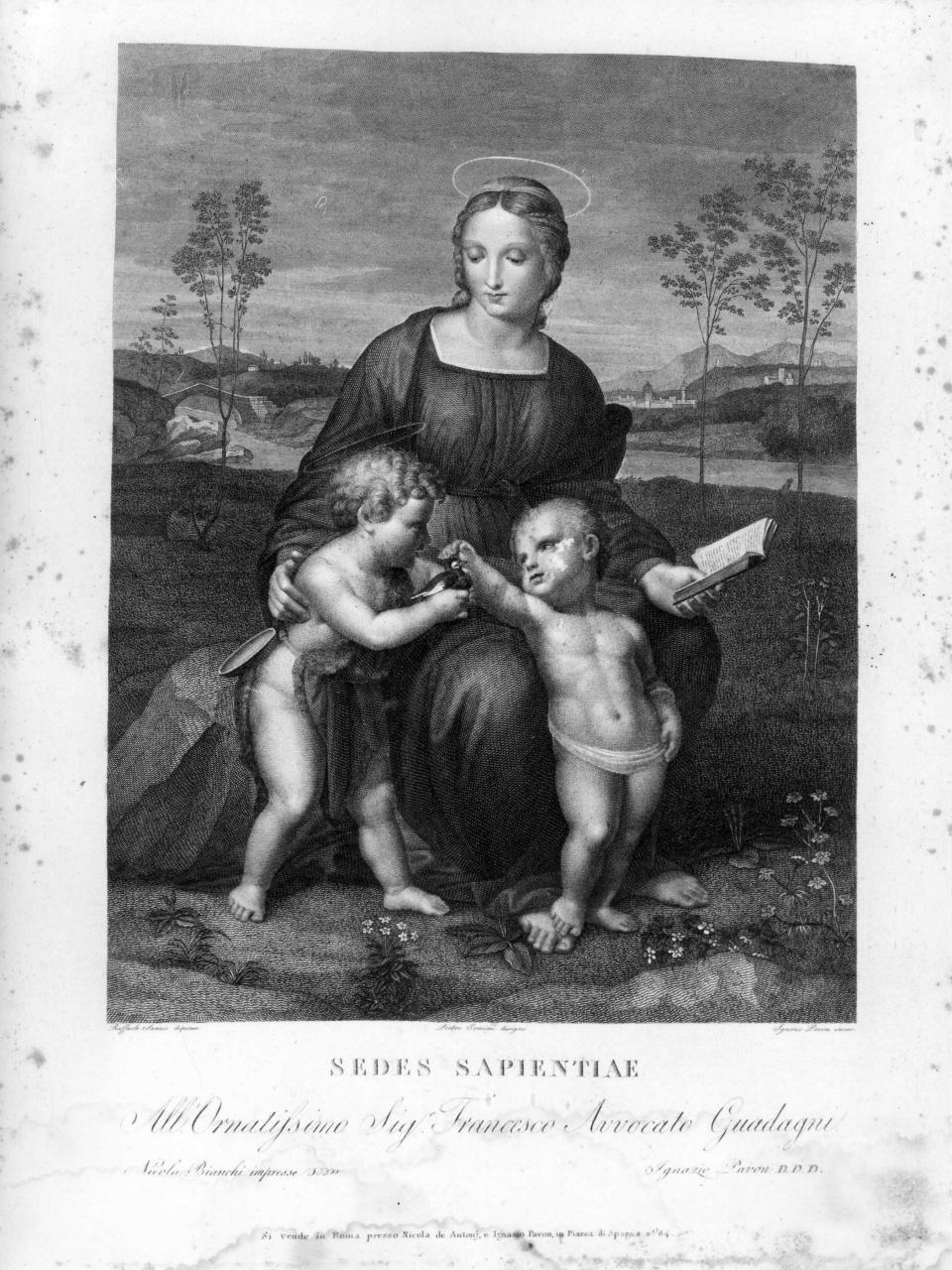 Madonna del cardellino, Madonna con Bambino e San Giovannino (stampa) di Sanzio Raffaello detto Raffaello, Pavon Ignazio, Ermini Pietro (sec. XIX)