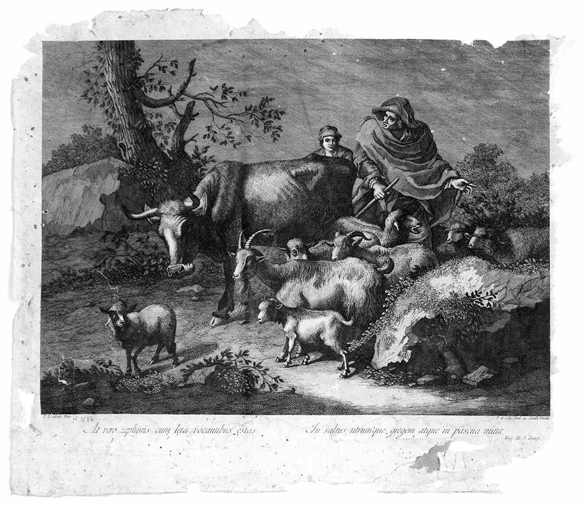 scena pastorale con pastore addormentato (stampa, serie) di Del Colle Pellegrino, Londonio Francesco (fine sec. XVIII)