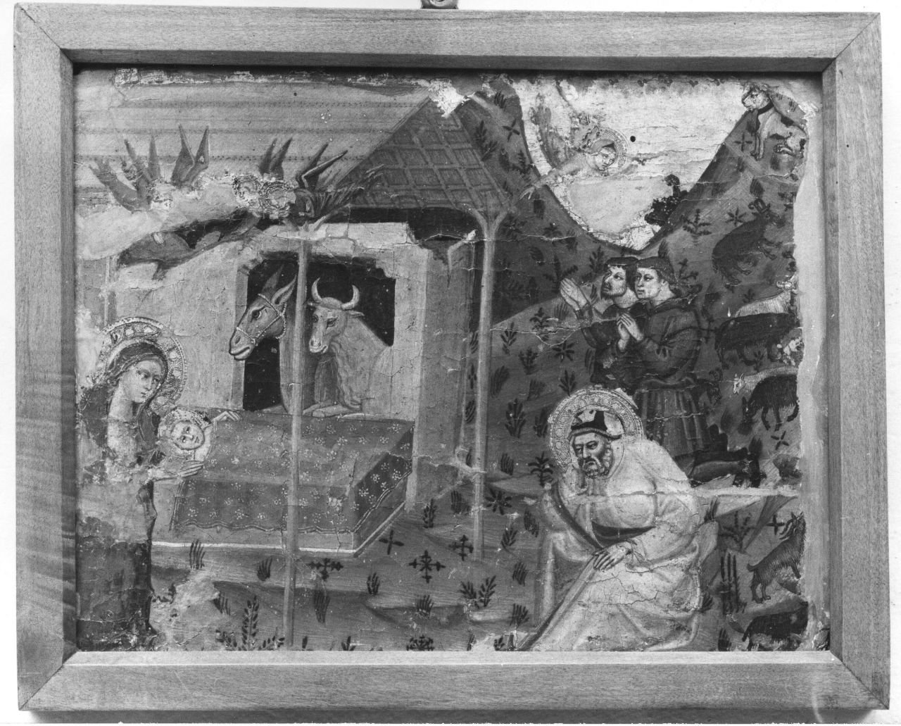 natività di Gesù (dipinto) di Gaddi Taddeo (scuola) (metà sec. XIV)