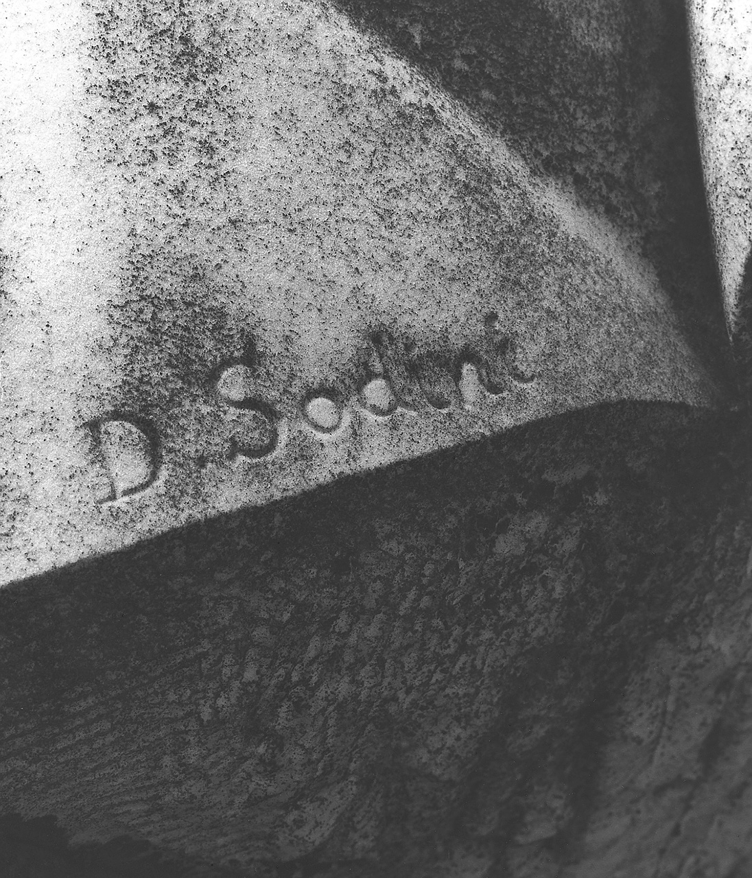 ritratto d'uomo (busto) di Sodini Dante (sec. XX)