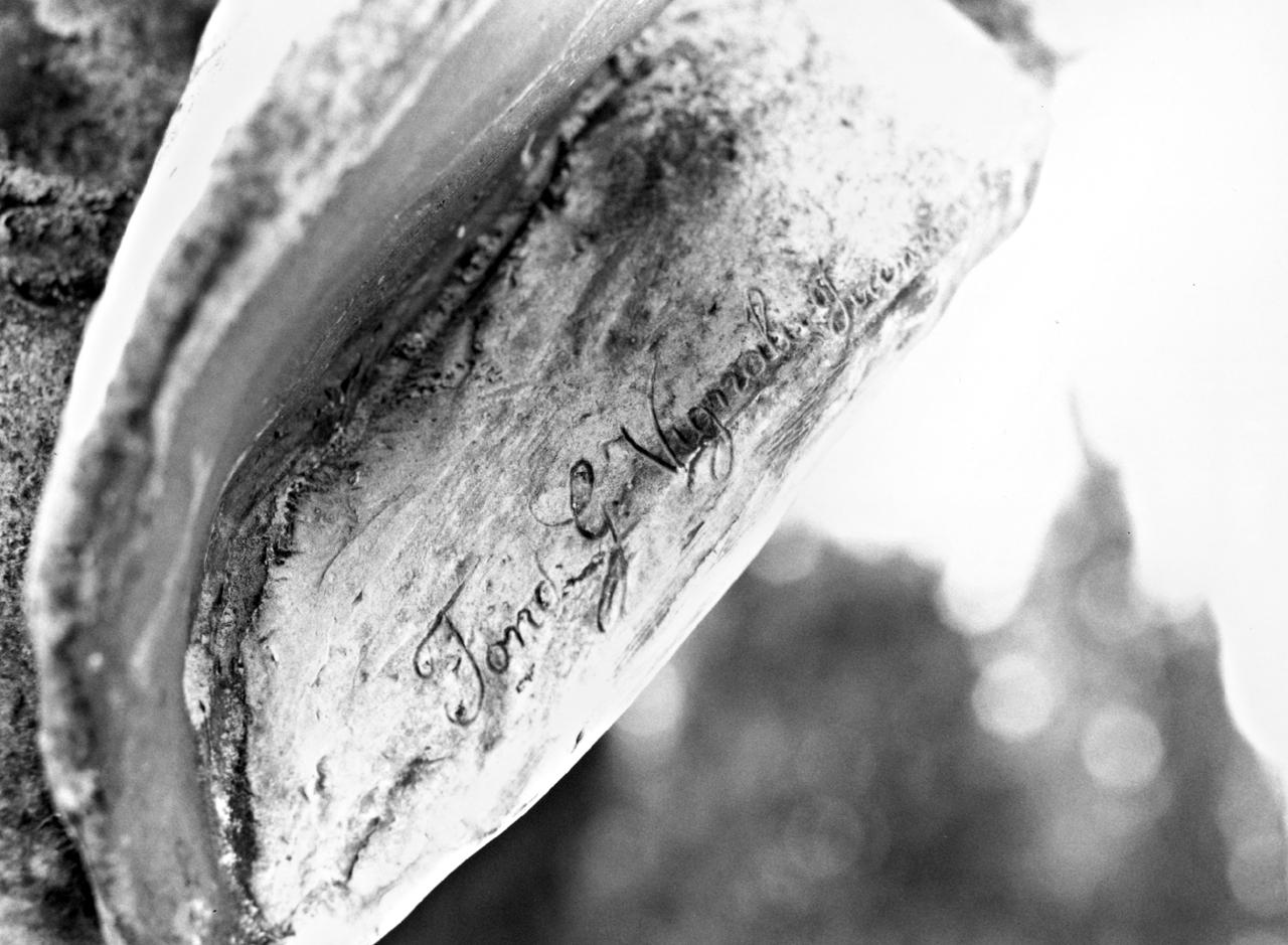 busto ritratto d'uomo (busto) - produzione fiorentina (inizio sec. XX)