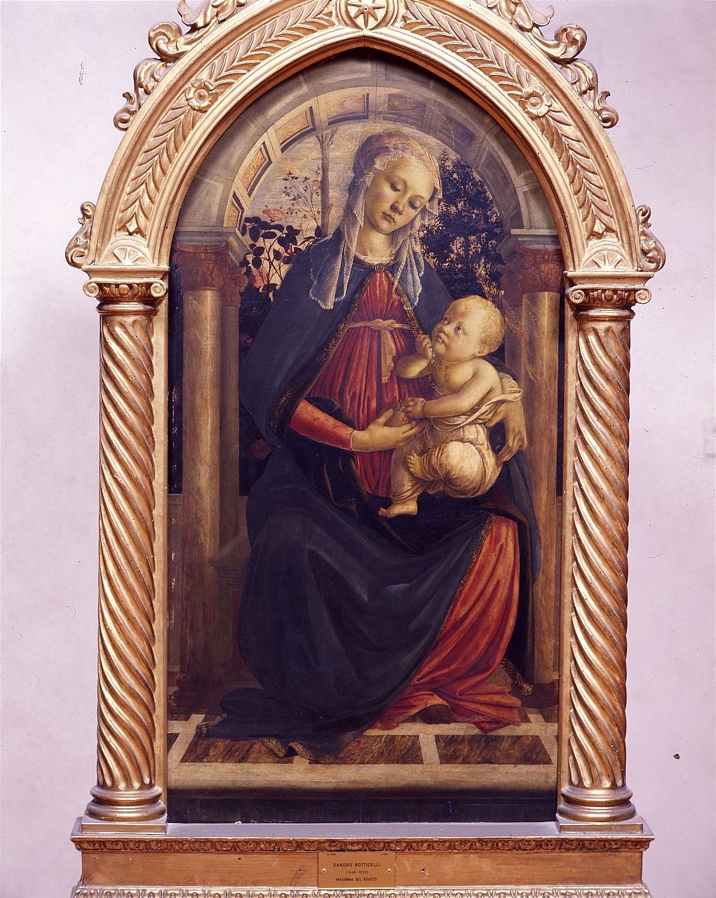 Madonna del Roseto, Madonna con Bambino (dipinto) di Filipepi Alessandro detto Botticelli (sec. XV)