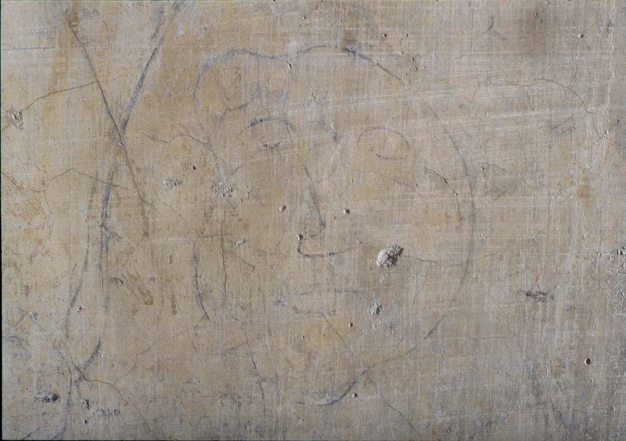 testa d'uomo (disegno murale) di Buonarroti Michelangelo (cerchia) (sec. XVI)
