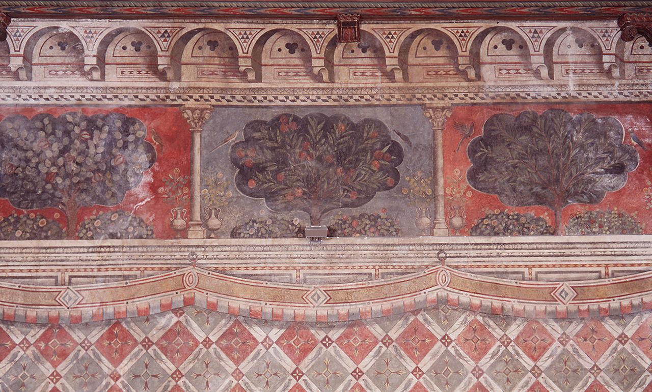 motivo decorativo a finto tendaggio, archetti, alberi e pappagalli (dipinto, ciclo) - ambito fiorentino (sec. XIV)