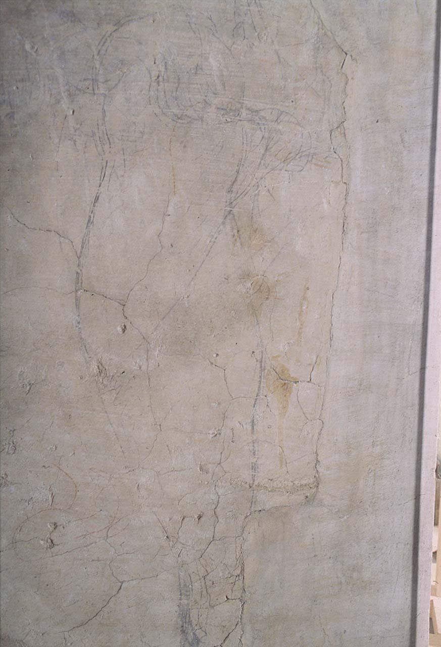 studio anatomico (disegno murale) di Buonarroti Michelangelo (cerchia) (sec. XVI)