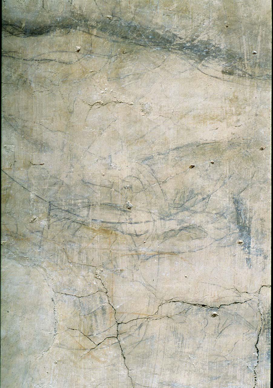 studio anatomico (disegno murale) di Buonarroti Michelangelo (cerchia) (sec. XVI)