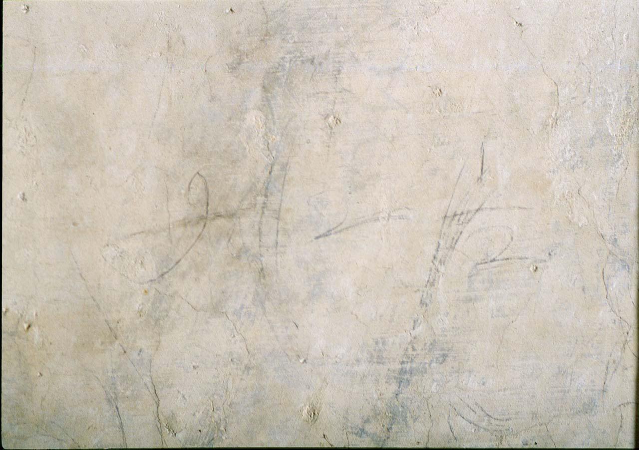 studio anatomico (disegno murale) di Buonarroti Michelangelo (sec. XVI)