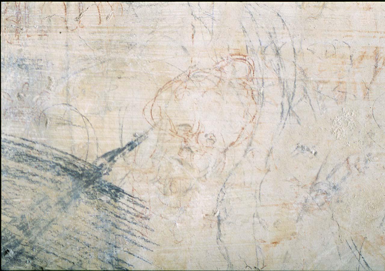 testa d'uomo (disegno murale) di Pericoli Niccolò detto Tribolo (sec. XVI)