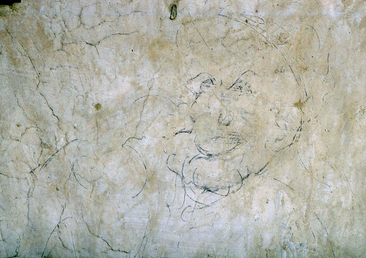 testa di fauno (disegno murale) di Pericoli Niccolò detto Tribolo (sec. XVI)