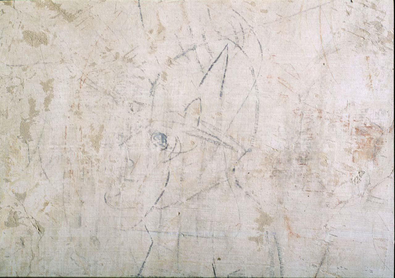 testa di vescovo (disegno murale) di Buonarroti Michelangelo (cerchia) (sec. XVI)