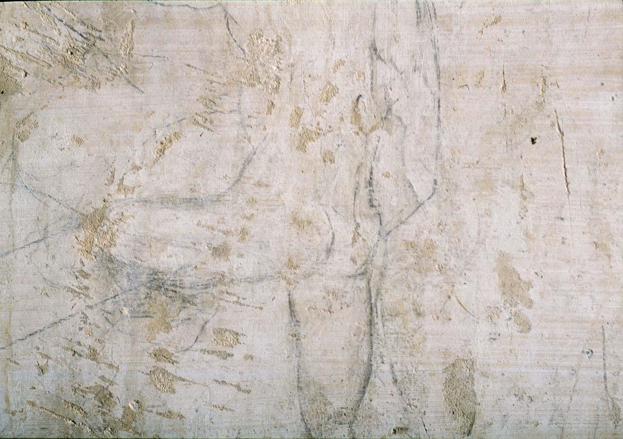 figura maschile nuda (disegno murale) di Mini Antonio (sec. XVI)