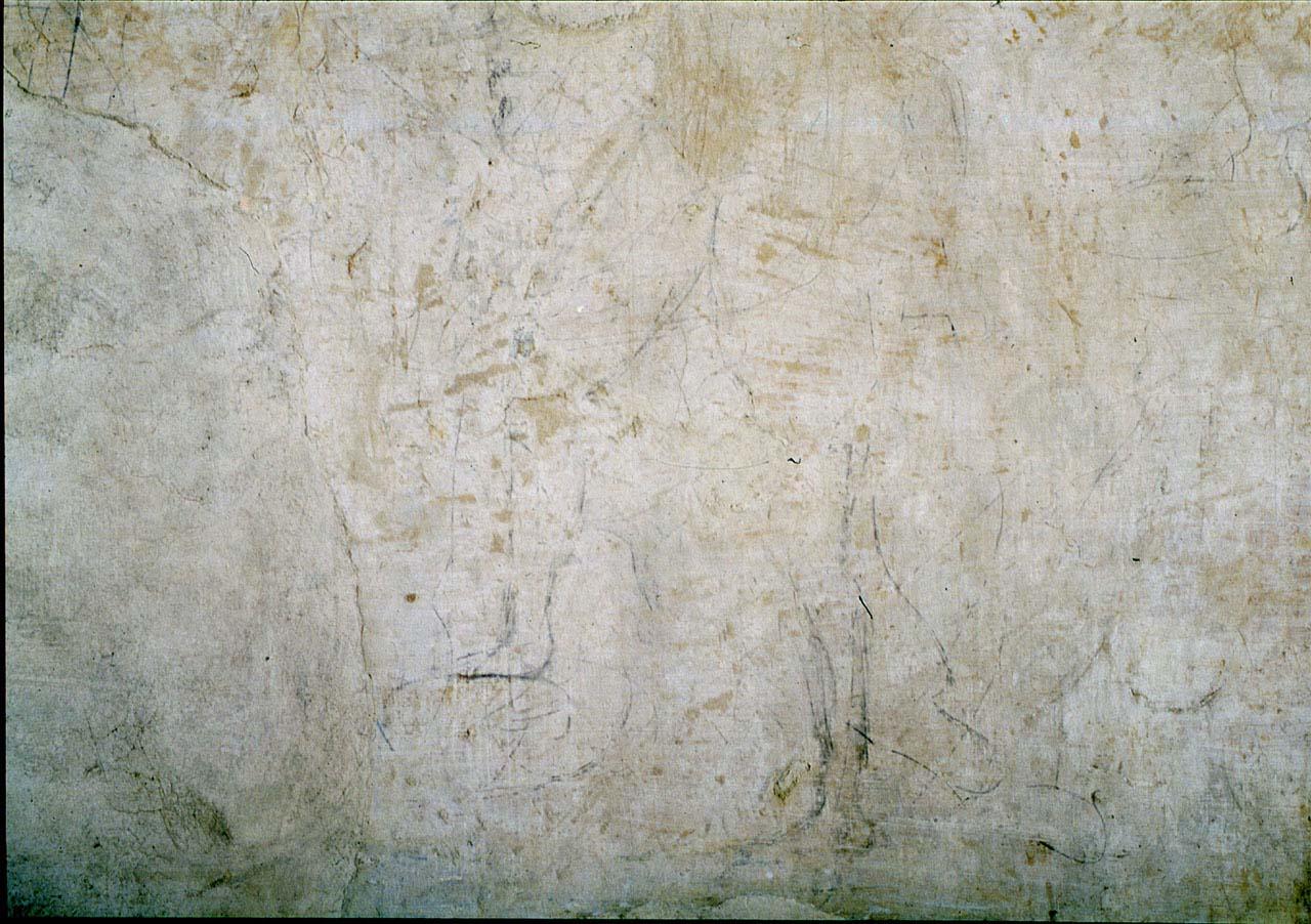 studio anatomico (disegno murale) di Buonarroti Michelangelo (cerchia) (sec. XVI)