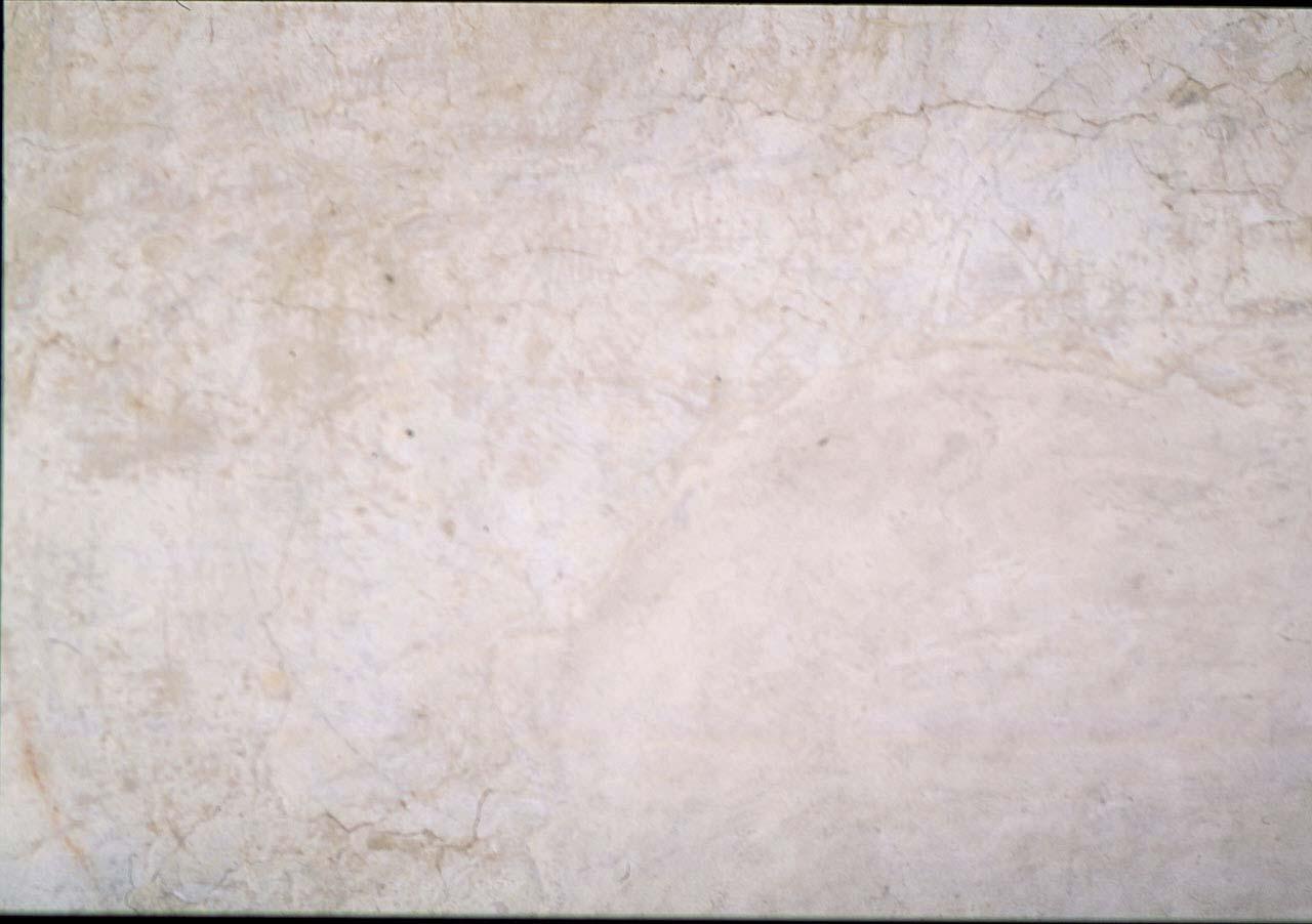 motivo decorativo geometrico (disegno murale) di Buonarroti Michelangelo (cerchia) (sec. XVI)