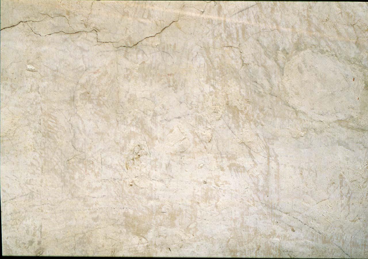 testa d'uomo (disegno murale) di Andrea di Michelangelo (sec. XVI)