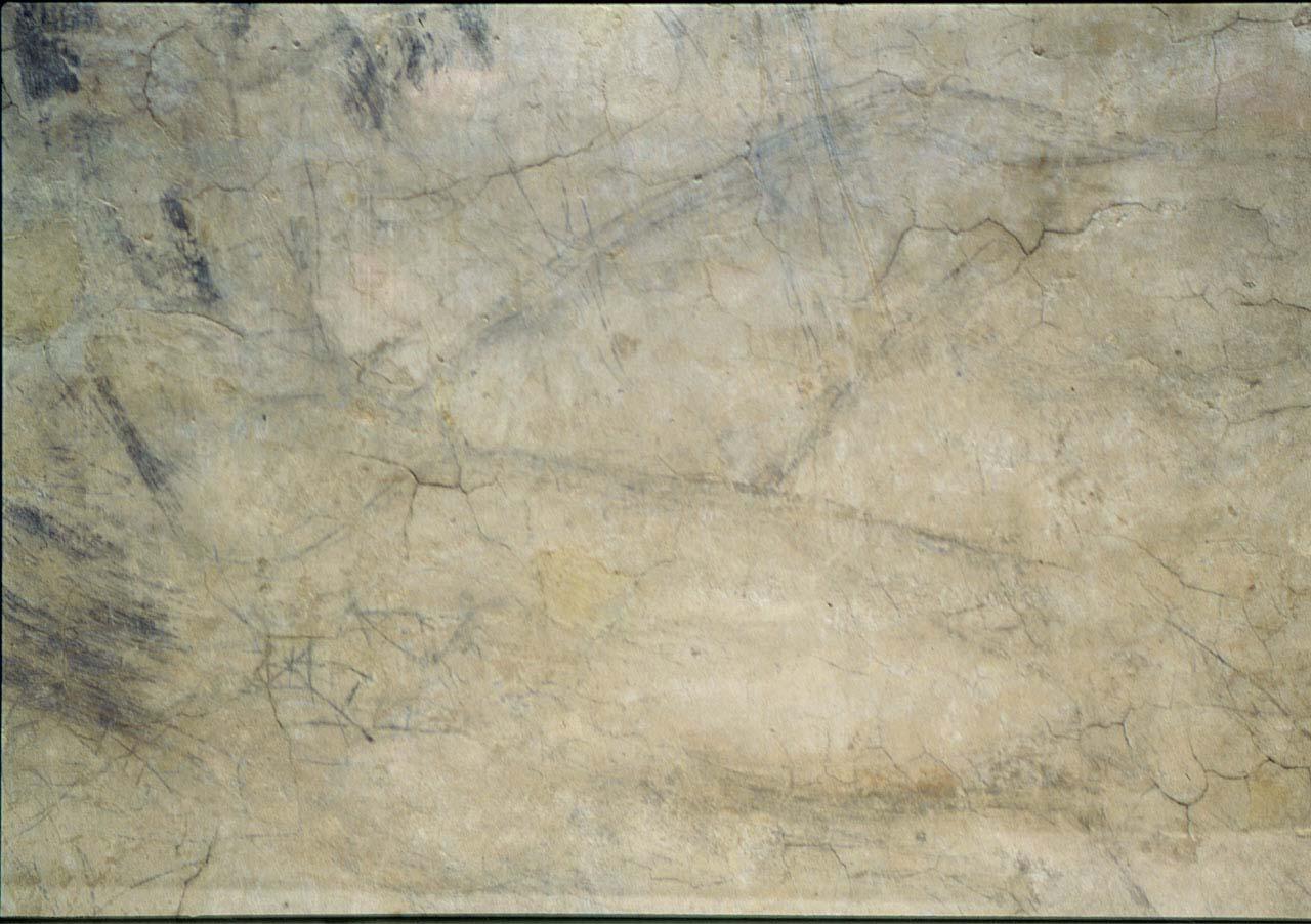 figure maschili (disegno murale) di Buonarroti Michelangelo (cerchia) (sec. XVI)