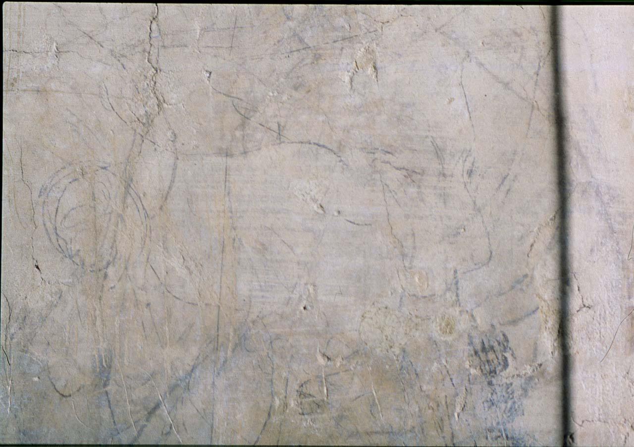 testa (disegno murale) di Buonarroti Michelangelo (cerchia) (secondo quarto sec. XVI)