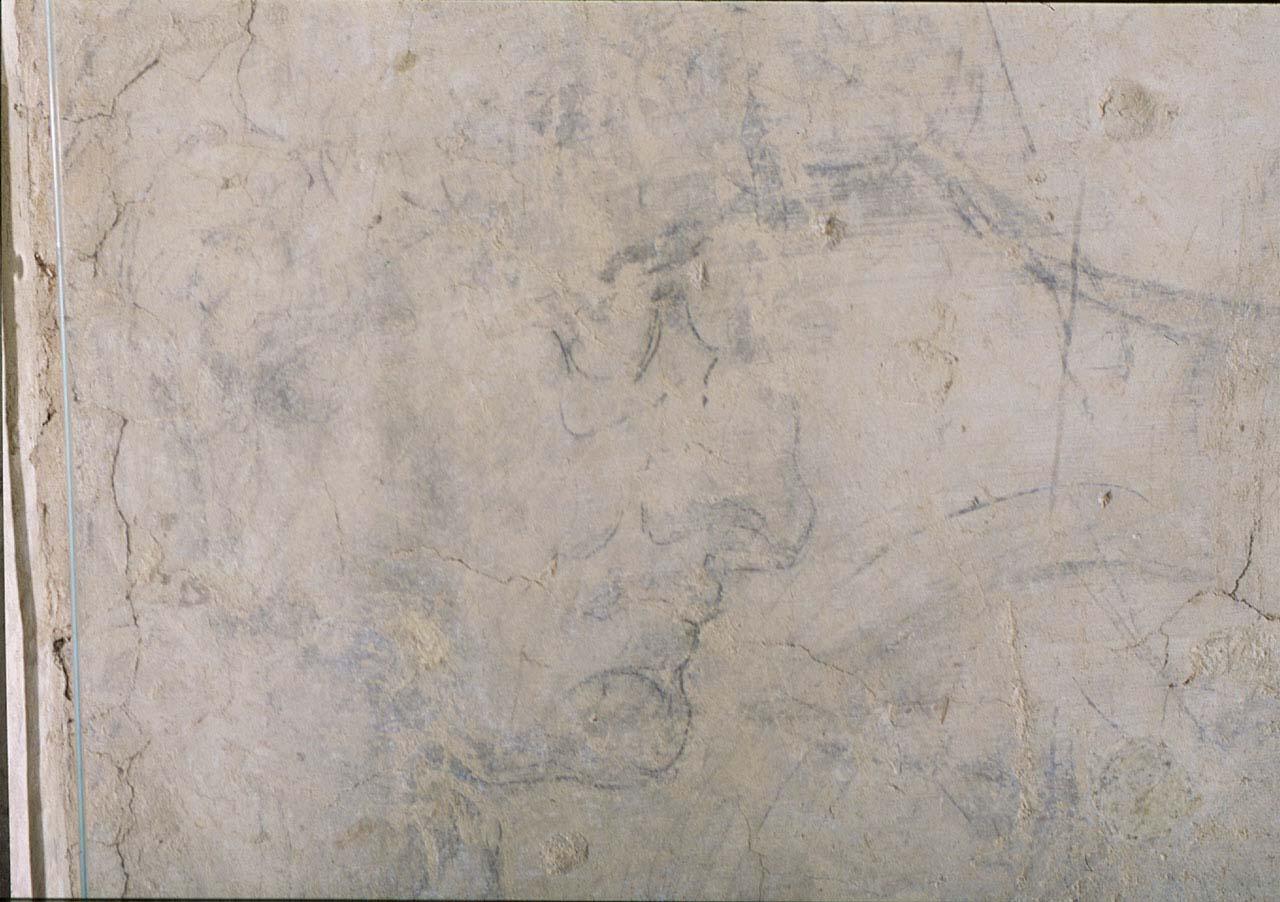 testa d'uomo (disegno murale) di Andrea di Michelangelo (sec. XVI)