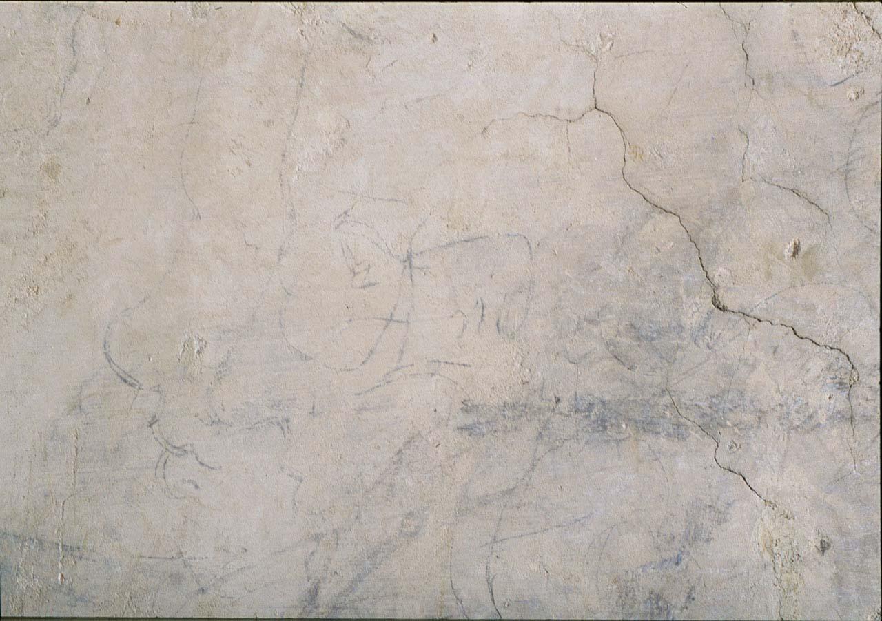 disegno murale - ambito fiorentino (sec. XVI)