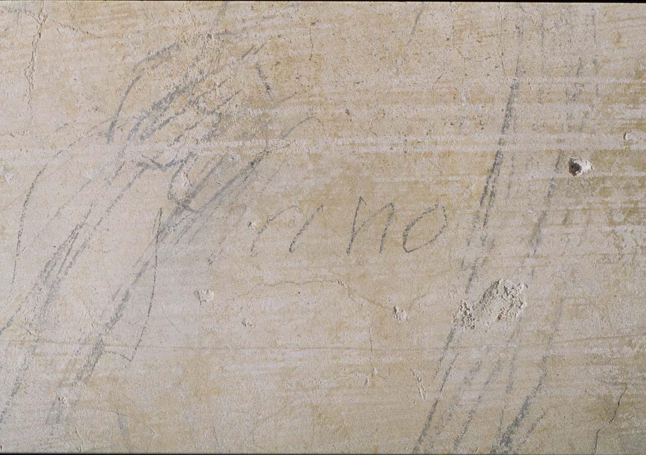 disegno murale - ambito fiorentino (sec. XVI)