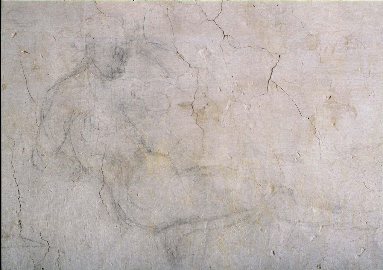 figura femminile (disegno murale) di Buonarroti Michelangelo (sec. XVI)