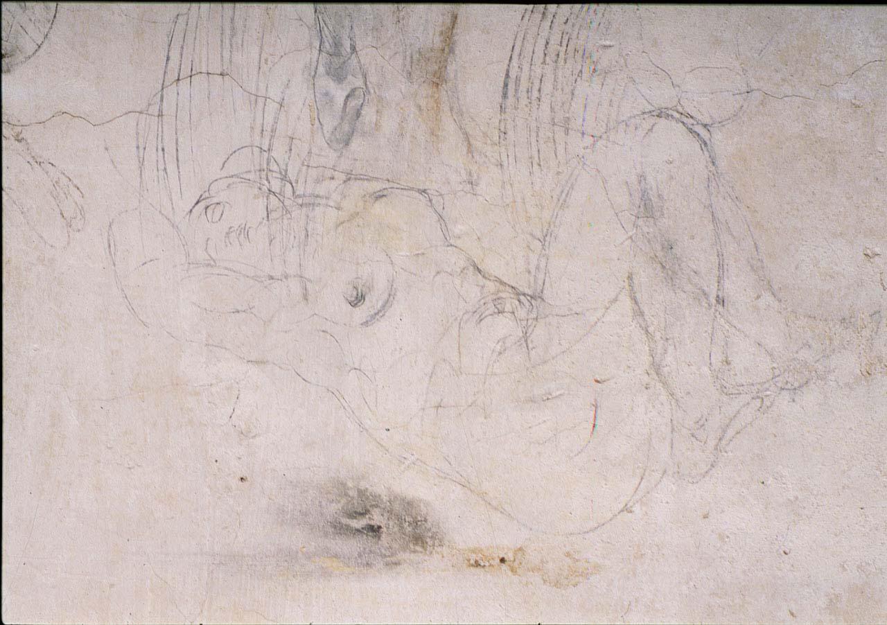 figura femminile (disegno murale) di Buonarroti Michelangelo (sec. XVI)