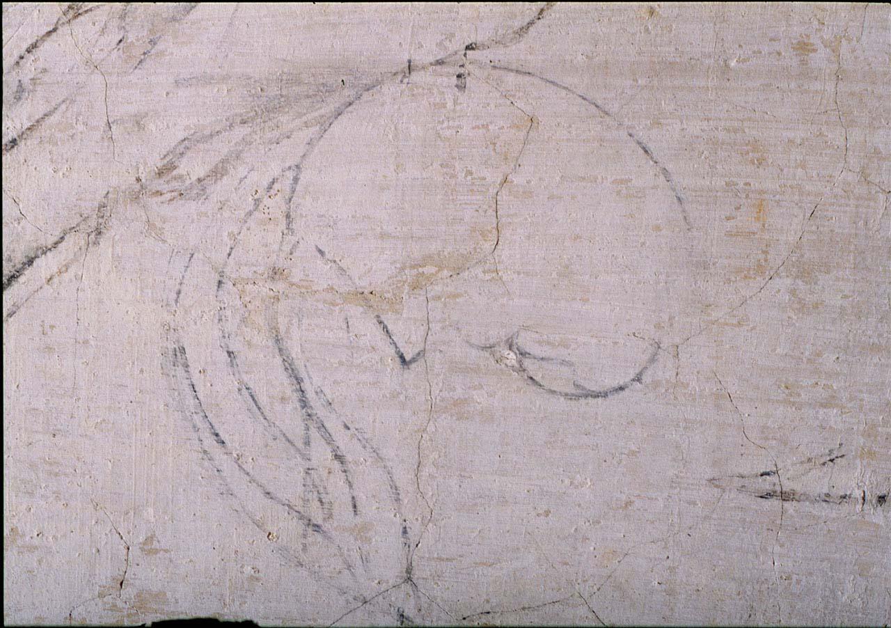 figura fantastica (disegno murale) di Buonarroti Michelangelo (cerchia) (sec. XVI)