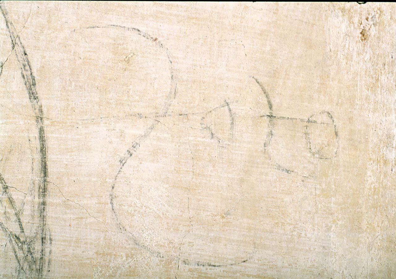disegno murale - ambito fiorentino (sec. XVI)