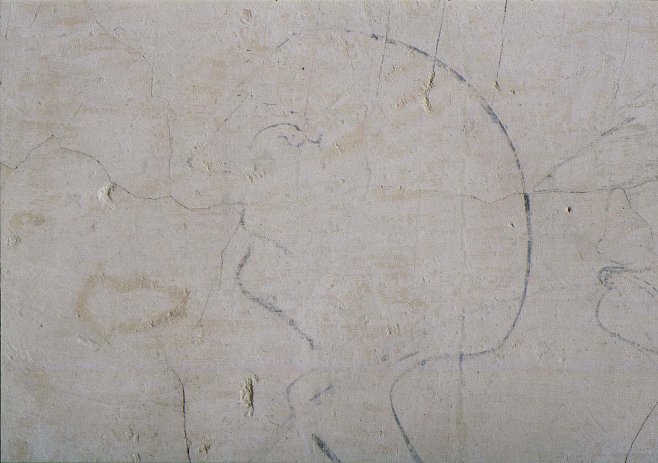 testa d'uomo (disegno murale) di Buonarroti Michelangelo (cerchia) (sec. XVI)