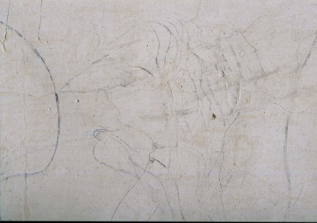 testa di donna (disegno murale) di Buonarroti Michelangelo (cerchia) (sec. XVI)
