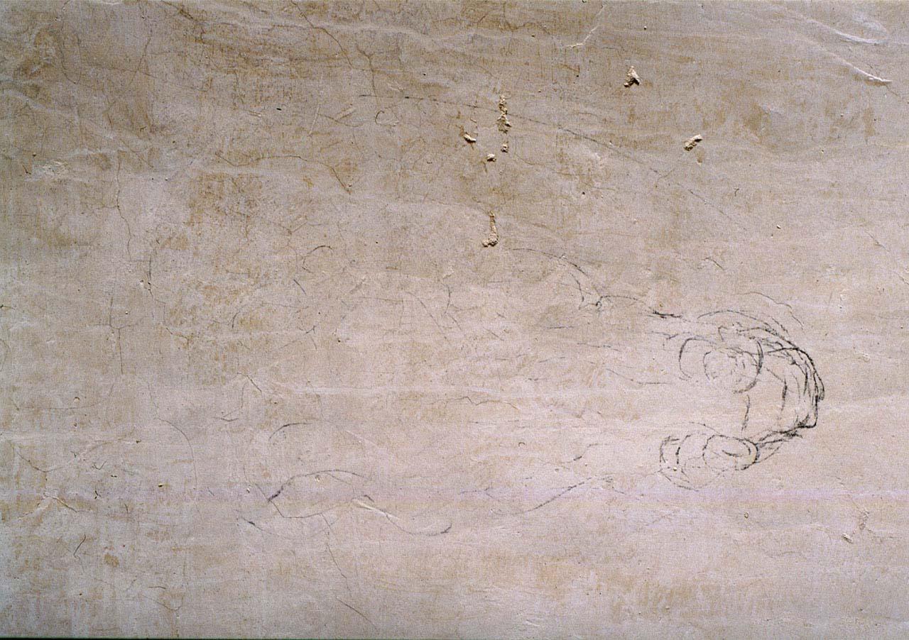 testa di cavallo (disegno murale) di Buonarroti Michelangelo (sec. XVI)