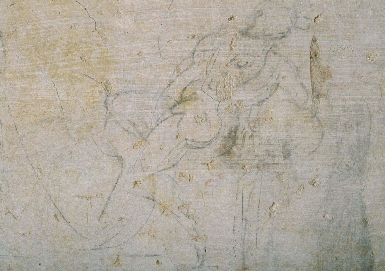 figura maschile (disegno murale) di Buonarroti Michelangelo (sec. XVI)