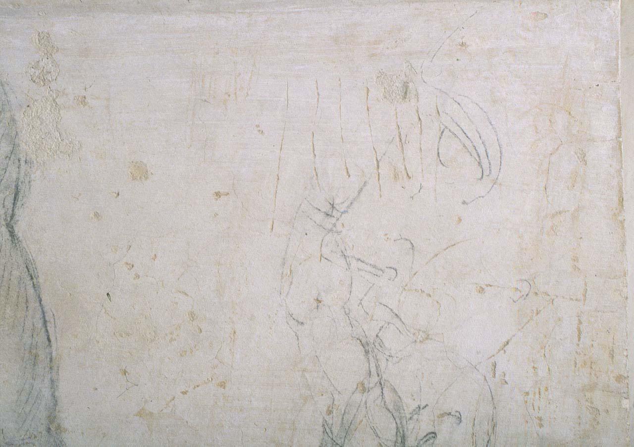 testa di donna (disegno murale) di Buonarroti Michelangelo (sec. XVI)