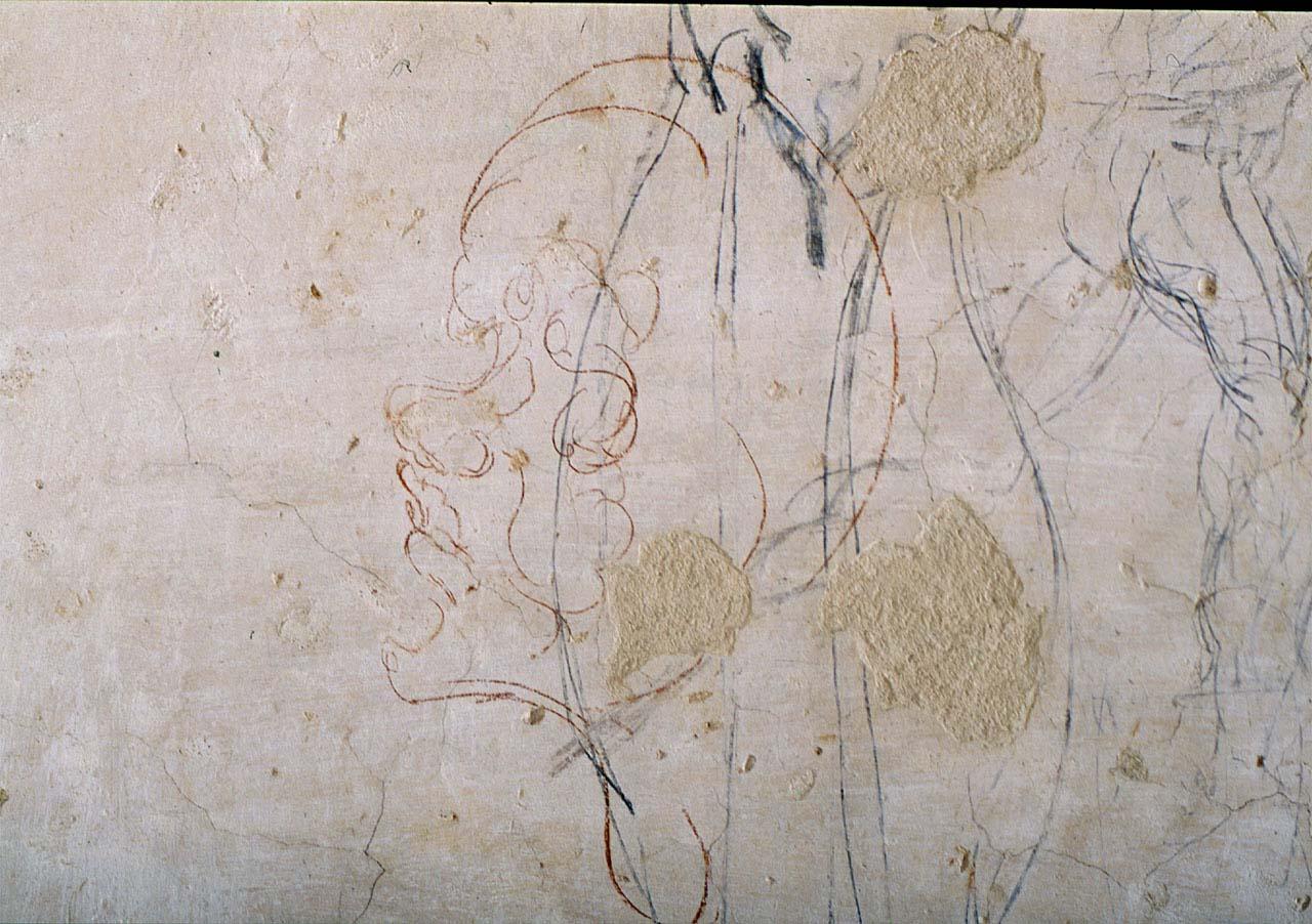 mascherone (?) (disegno murale) di Buonarroti Michelangelo (sec. XVI)