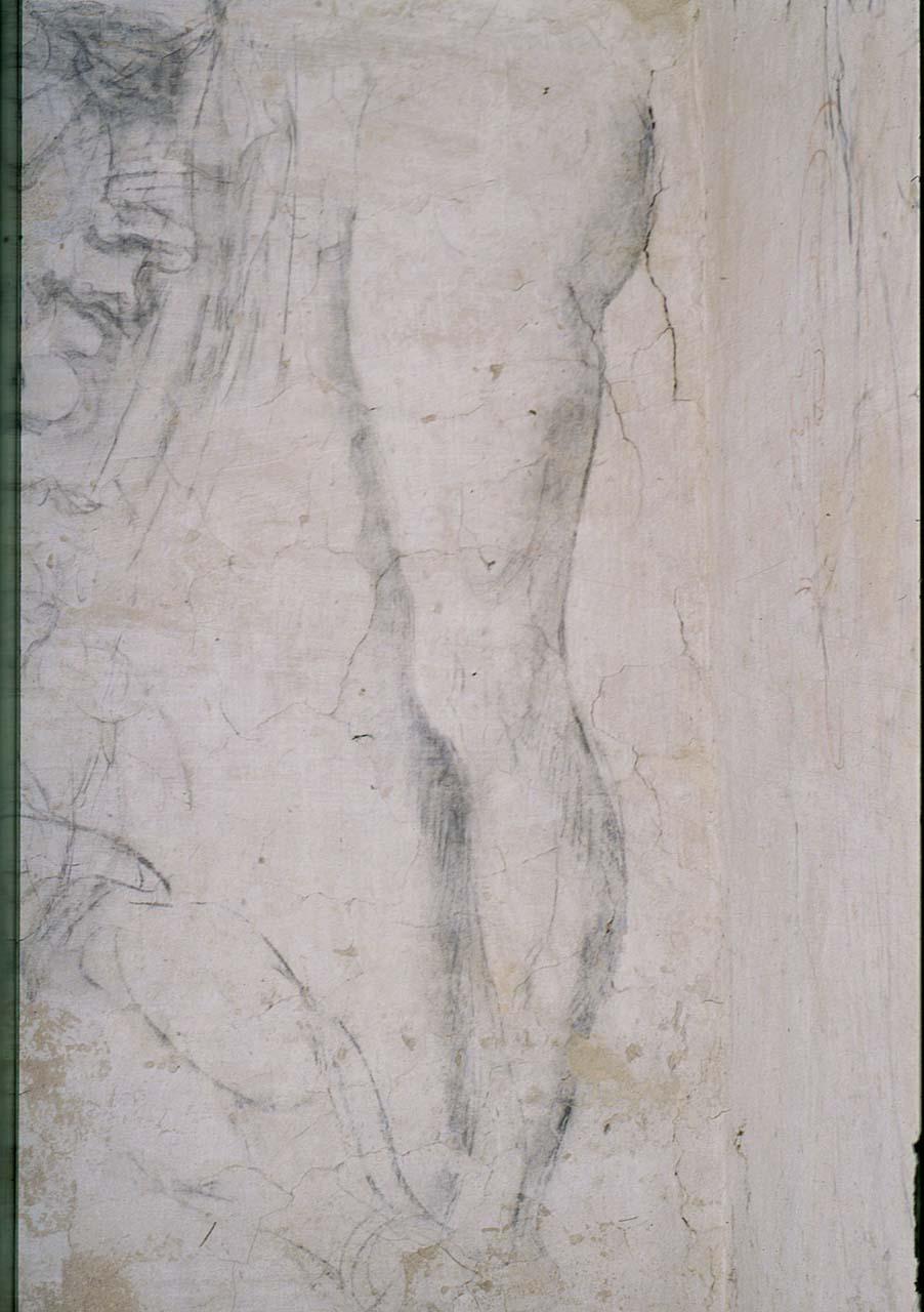 studio anatomico (disegno murale) di Buonarroti Michelangelo (sec. XVI)