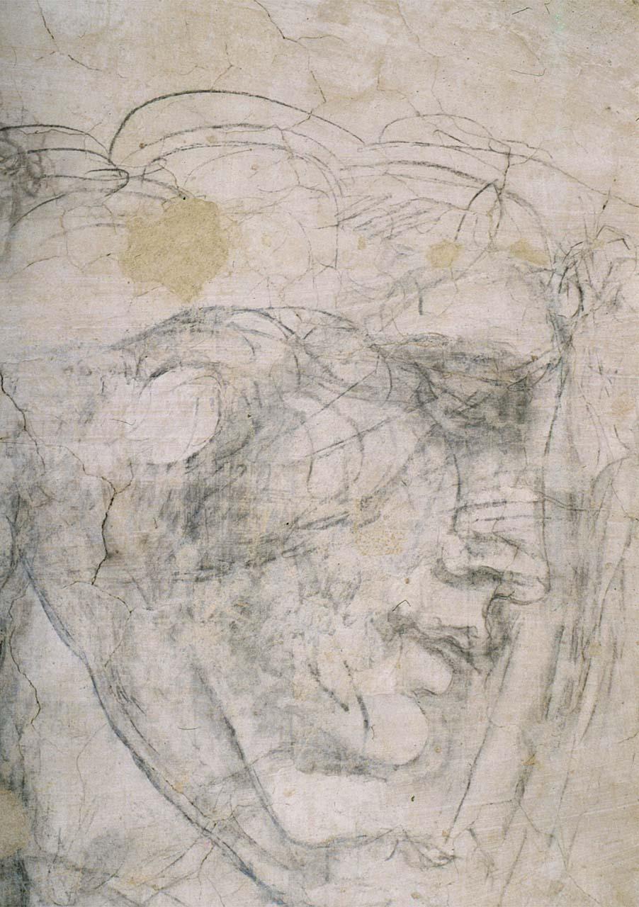 testa di donna (disegno murale) di Buonarroti Michelangelo (sec. XVI)