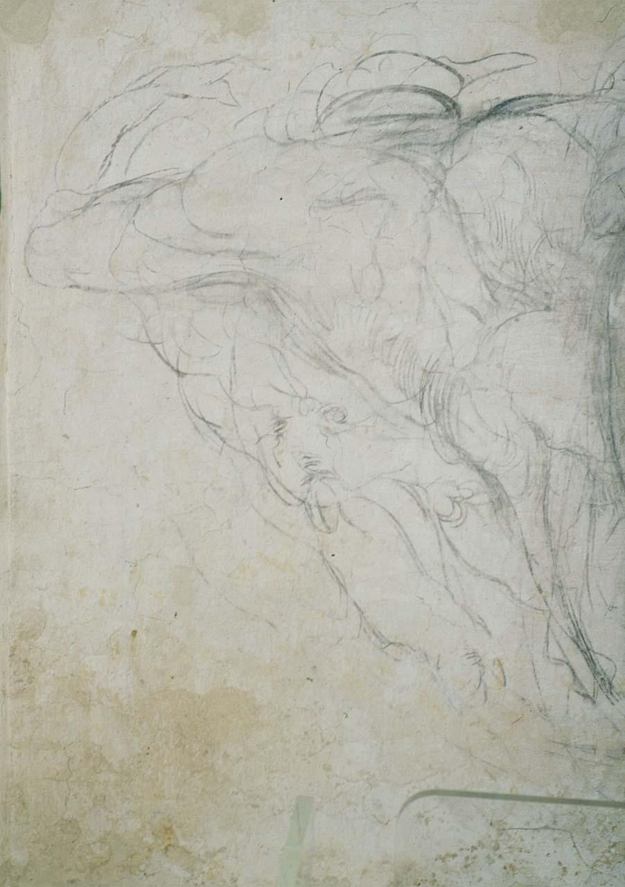 figura maschile (disegno murale) di Buonarroti Michelangelo (sec. XVI)
