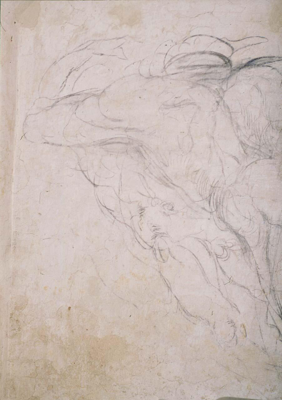 figura maschile (disegno murale) di Buonarroti Michelangelo (sec. XVI)