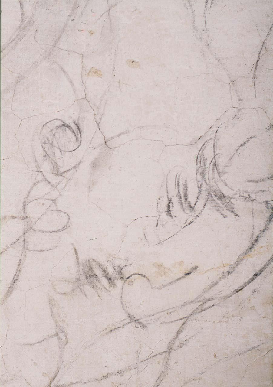 testa d'uomo (disegno murale) di Buonarroti Michelangelo (sec. XVI)