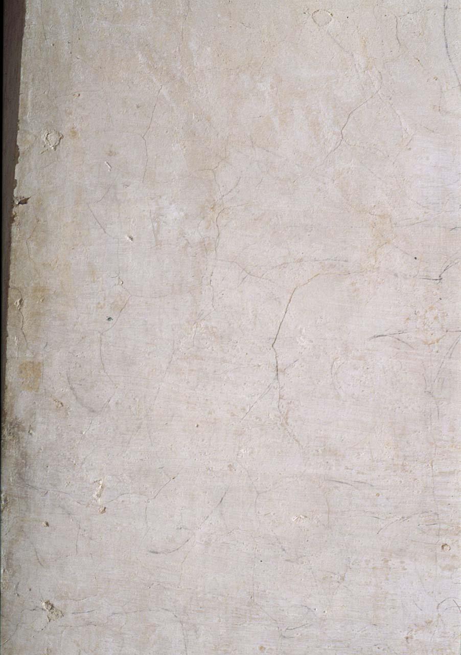 figura maschile (disegno murale) di Buonarroti Michelangelo (sec. XVI)