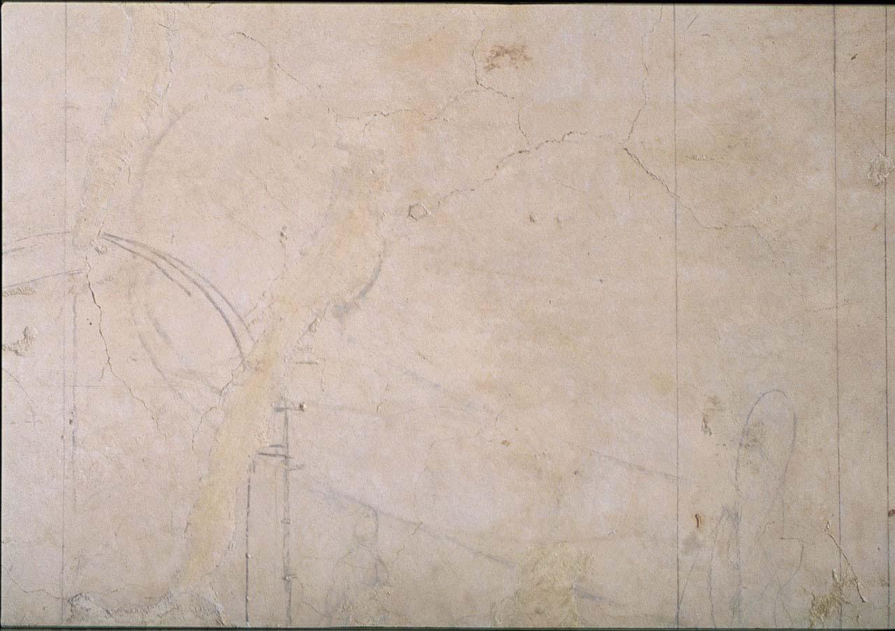 figura femminile (disegno murale) di Buonarroti Michelangelo (cerchia) (sec. XVI)