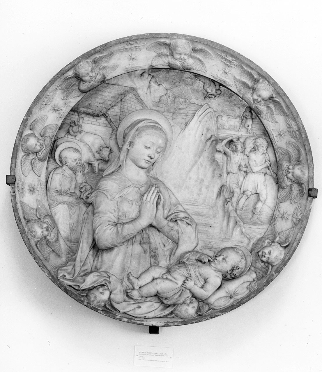 adorazione del Bambino e annuncio ai pastori (rilievo) di Rossellino Antonio (sec. XV)