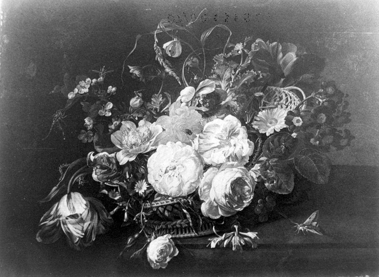 fiori in un cesto (dipinto) di Ruysch Rachel (sec. XVIII)
