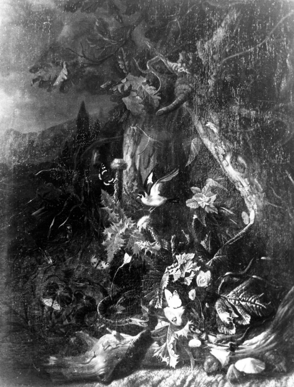 piante, fiori, insetti, animali (dipinto) di Van Schrieck Otto Marseus detto Ottone Marcellis (sec. XVII)