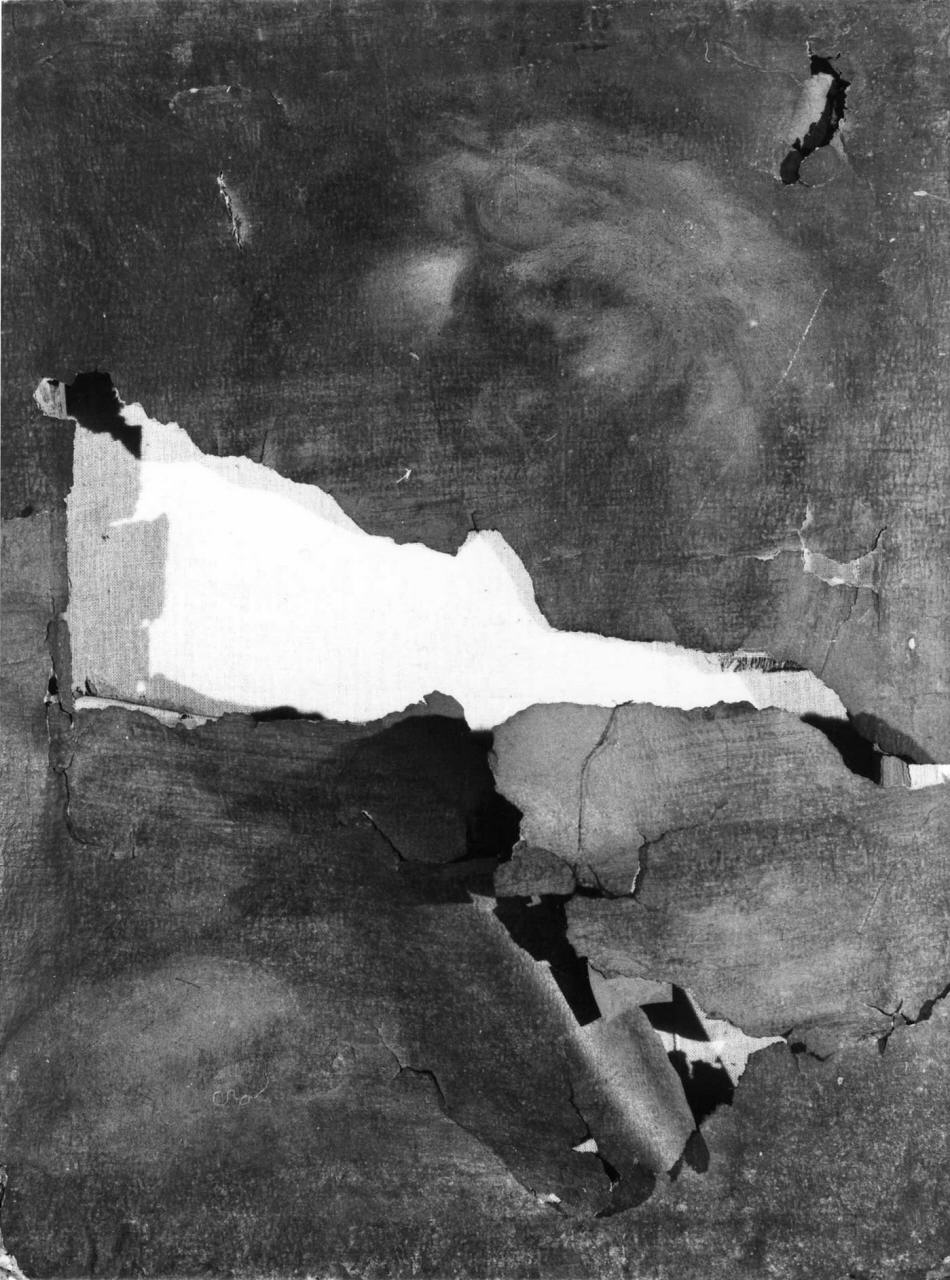 testa di fanciullo (dipinto) - ambito emiliano (sec. XVII)