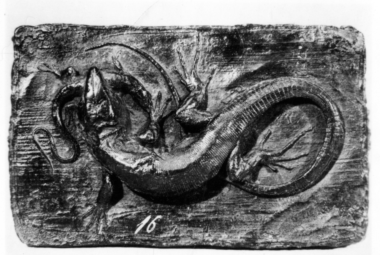 lucertola (rilievo) - manifattura padovana (sec. XVI)