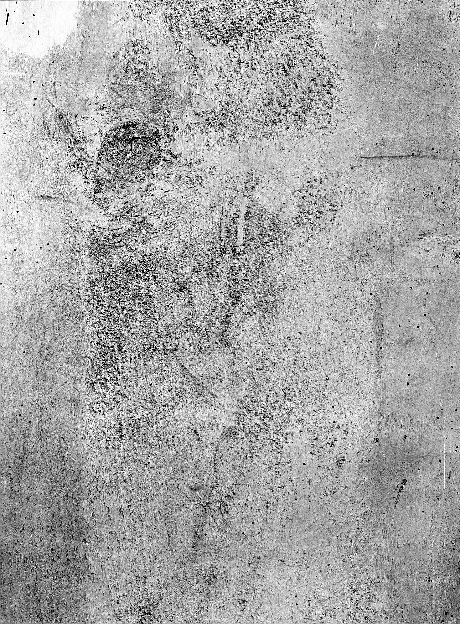 figure (disegno) di Leonardo da Vinci, Cioni Andrea detto Verrocchio (sec. XV)