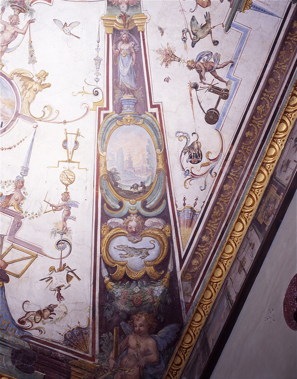 putto, medaglioni figurati (dipinto) di Parigi Giulio (sec. XVI)