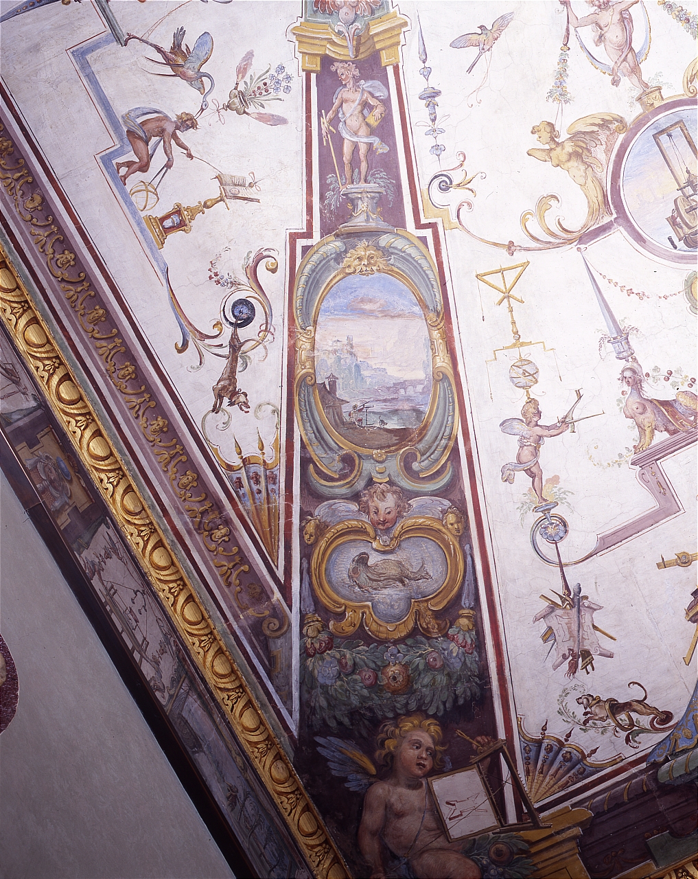 putto, medaglioni figurati (dipinto) di Parigi Giulio (sec. XVI)
