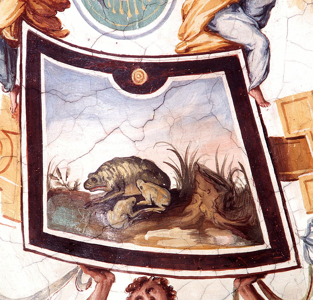 allegoria della Terra (?) (rospo) (dipinto) di Allori Alessandro (bottega) (sec. XVI)