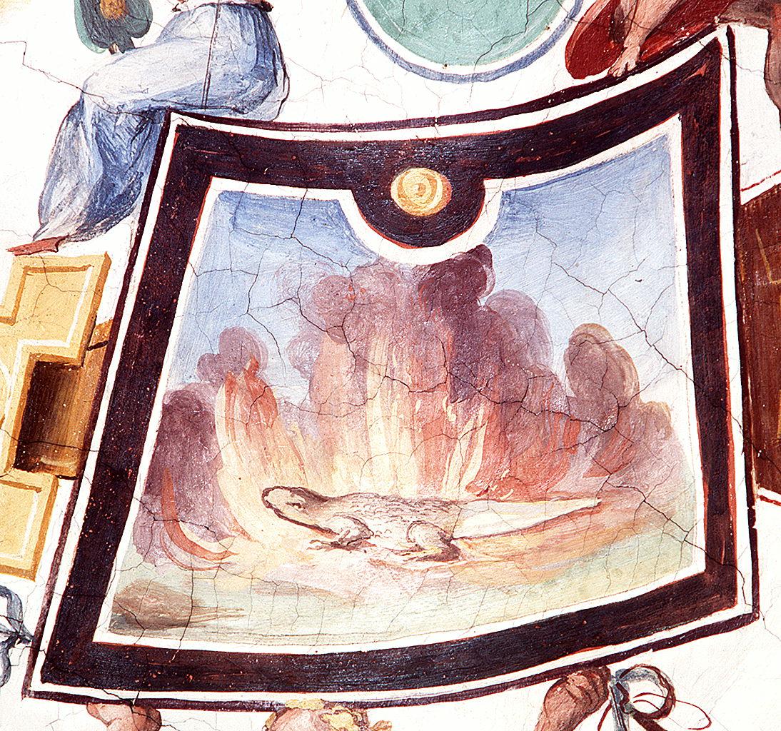 salamandra (dipinto) di Allori Alessandro (bottega) (sec. XVI)